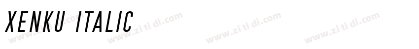 Xenku Italic字体转换